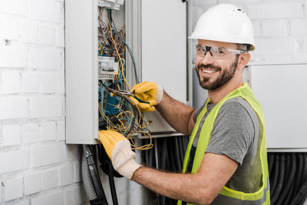 Best Electrical System Inspection  in Rosenhayn, NJ
