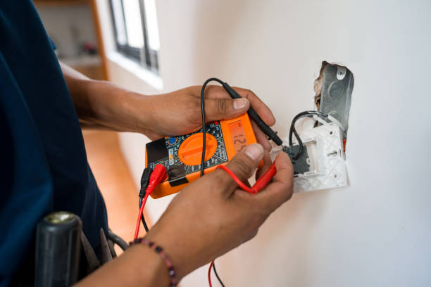 Best Local Electrician Companies  in Rosenhayn, NJ