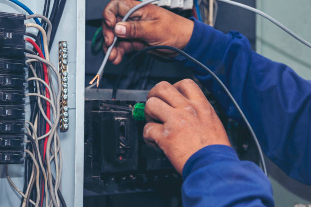 Best Electrical System Inspection  in Rosenhayn, NJ