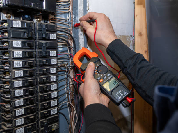 Best Electrical Upgrades for Homes  in Rosenhayn, NJ