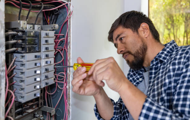 Best Local Electrician Companies  in Rosenhayn, NJ